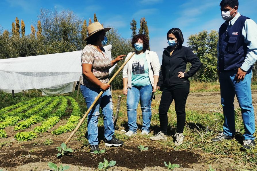 Destacan trabajo de emprendedoras para la agricultura familiar campesina de Biobío