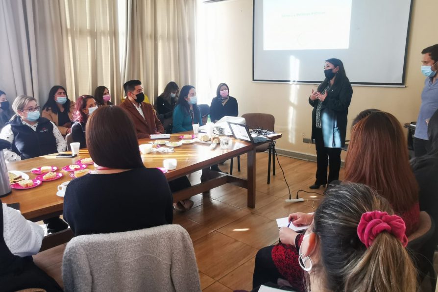 Promueven la asesoría de género para instituciones públicas en Biobío