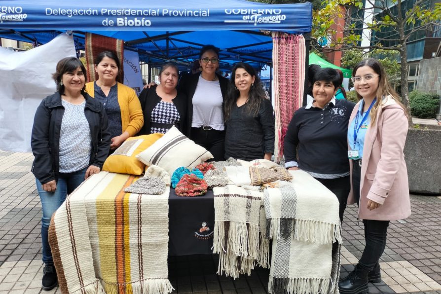 Conmemoran Día de la Mujer en Biobío con capacitaciones a agrupaciones y feria de servicios públicos