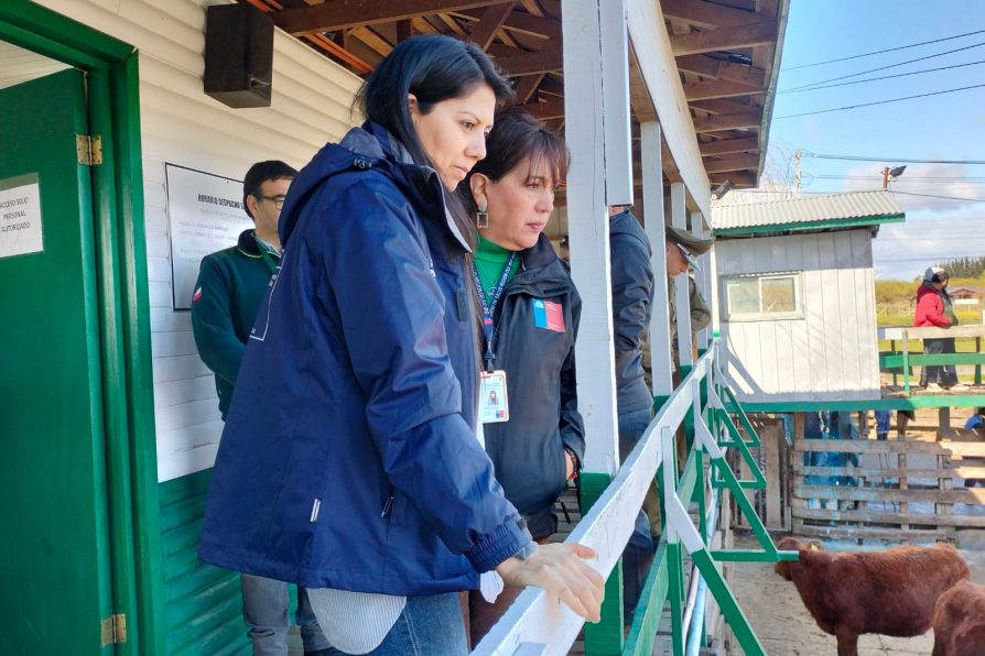 Autoridades destacan aumento de fiscalizaciones para el control de venta de animales