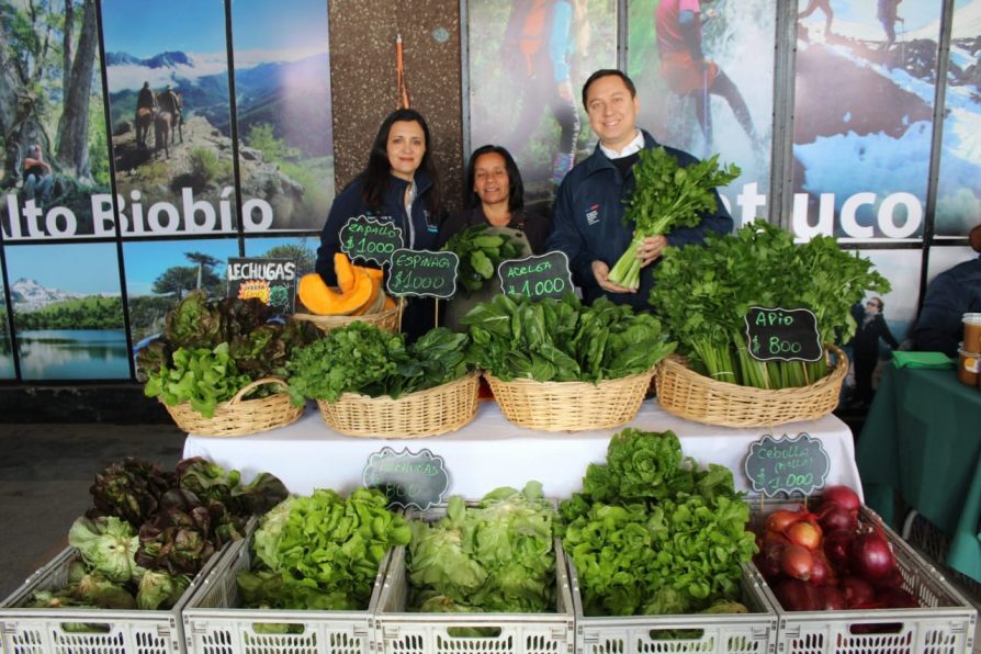 Feria Campesina Biobío tiene nueva ubicación en Los Ángeles