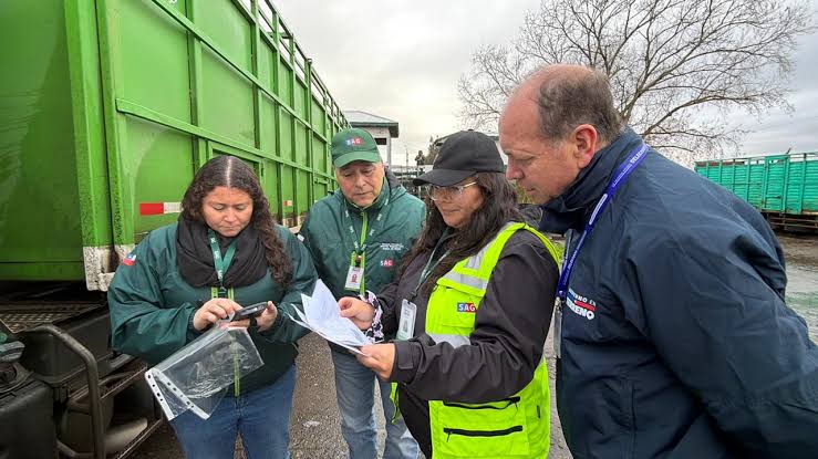 Gobierno refuerza fiscalización para proteger la actividad ganadera en Biobío